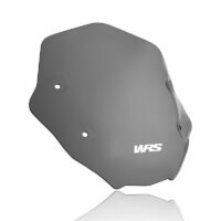 WRS Sport Windscreen BMW R1250R - Image 3